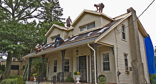 Best Metal Roofing Contractor  in Ammon, ID